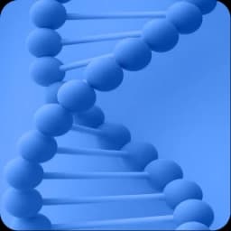DNA helix
