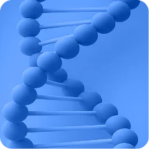 Targeted - Evidence-Based Supplementation